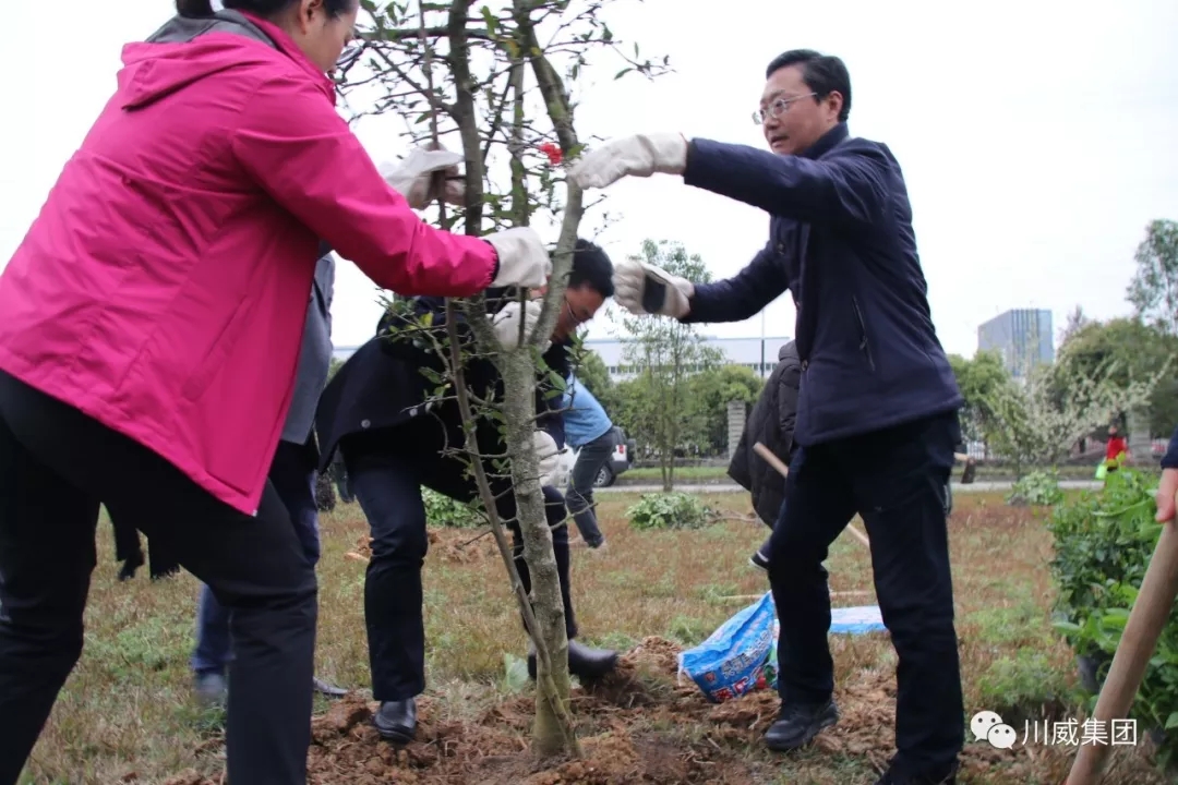 杏彩平台官网，杏彩体育官网举办2019年植树节活动(图3)