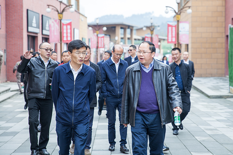 云南江川区区长王志华一行莅临杏彩平台官网，杏彩体育官网考察交流(图4)