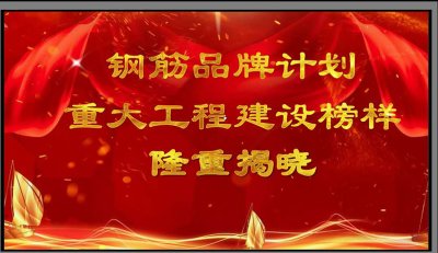 媒体广泛关注集团钒钛科技入选“钢筋品牌计划——重大工程建设榜样”