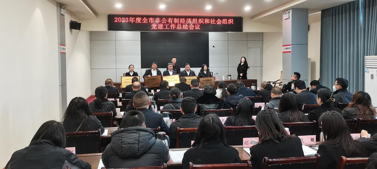 喜讯！矿业总公司财通公司党支部荣获会理市“双强六好”党组织称号(图3)